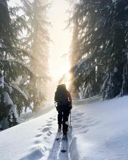 kyra в Instagram: &quot;morning forest walks .#revelstoke #therealstoke #sk...