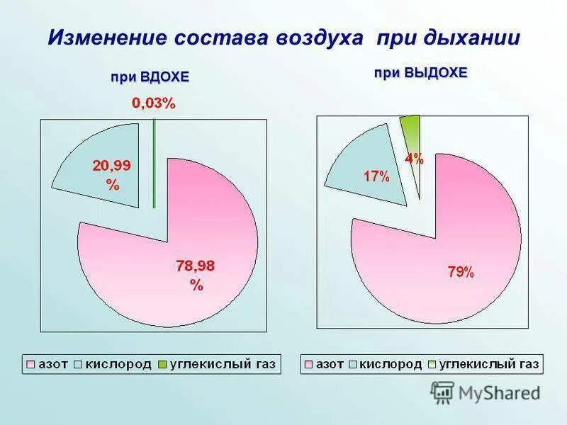 В каком воздухе больше углекислого газа. Состав воздуха диаграмма. Диаграмма вдыхаемого и выдыхаемого воздуха. Состав вдыхаемого воздуха в процентах. Состав воздуха схема.