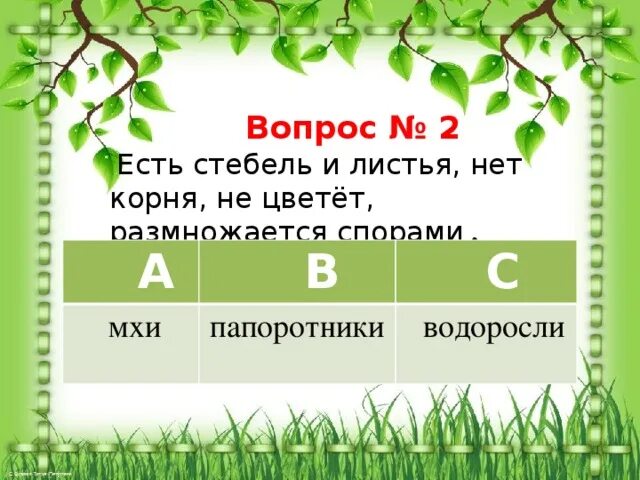 Тест по теме многообразие растений. Разнообразие растений 3 класс тест. разнообразие растений 3 класс задания. разнообразие растений 3 класс окружающий мир тест. тест окружающий мир 3 класс растения.
