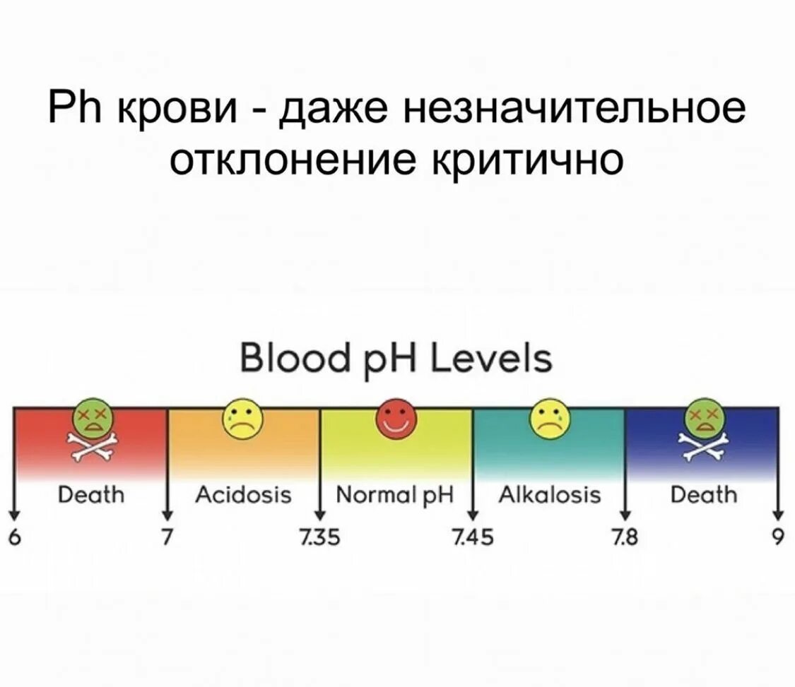 Определить кислотность крови. PH крови. PH кислотность крови. PH сыворотки крови. Нормальный РН крови.
