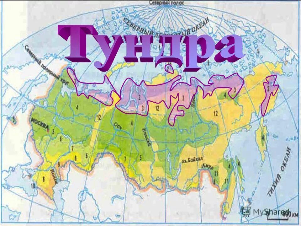 Название изображения на карте