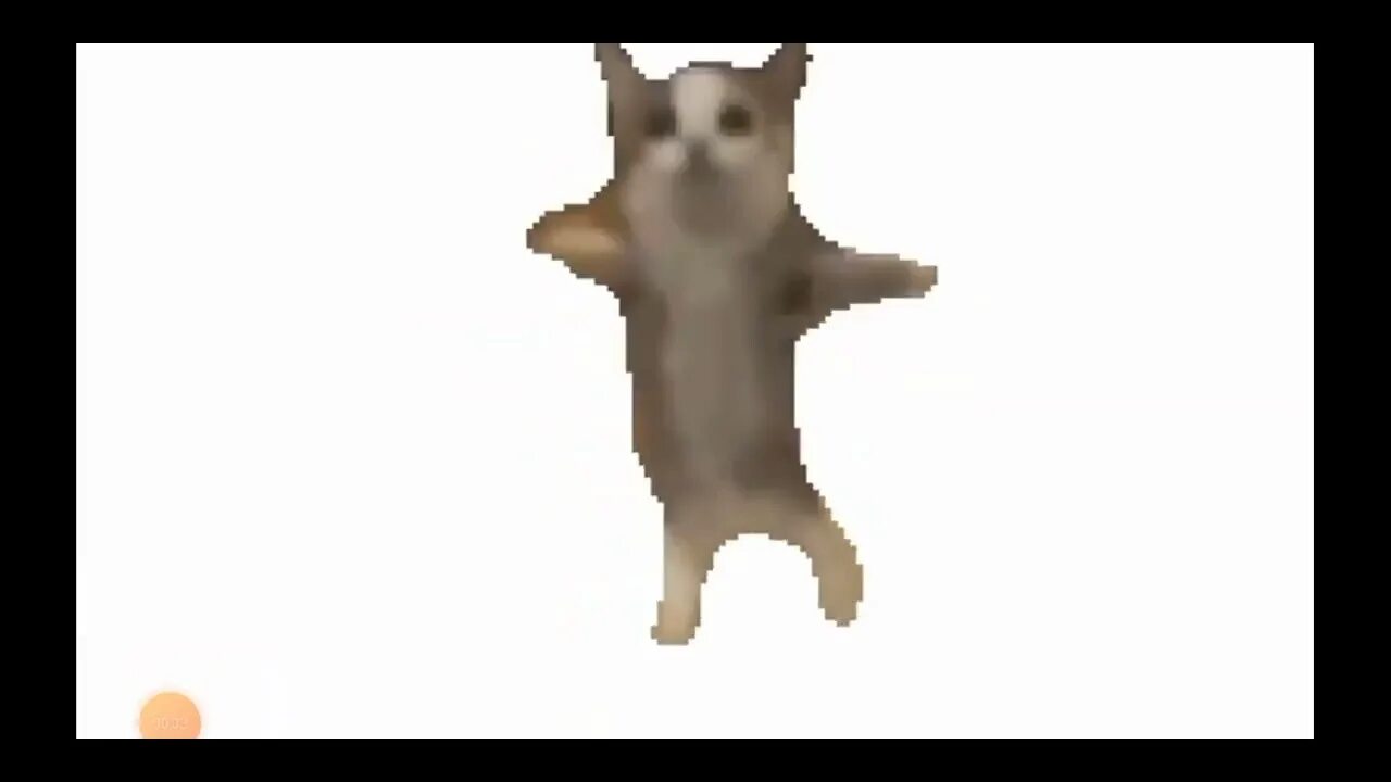 Крокодил шни шна шнапи. Крокодил шни шна шнапи. Шни шна шнапи мем. Шнип шнап шнапи. Крокодил schnappi.