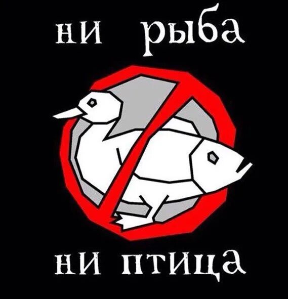 Ни рыба. Ни птица ни рыба ни зверь.