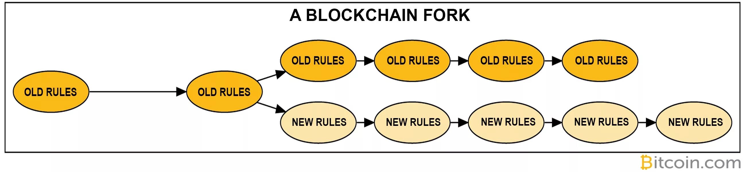 Форки. Fork blockchain. bitcoin fork. форк криптовалюты. форки биткоина.