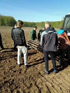 Кунгур поля
