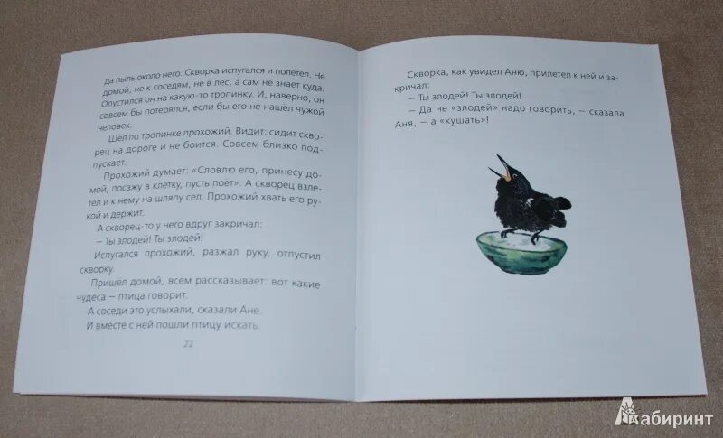 Чарушин слон. Злая галя. Злая галя чарушин. Евгений чарушин злая галя. Галя мем.