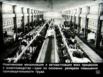 История доу презентация