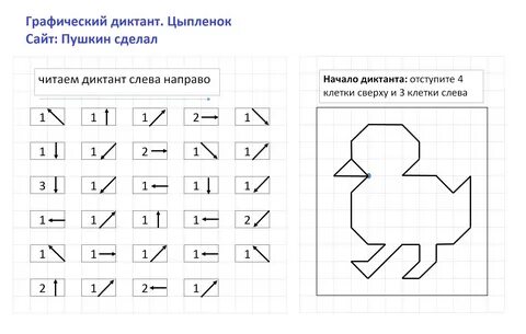 Графический диктант по клеточкам. Цыпленок