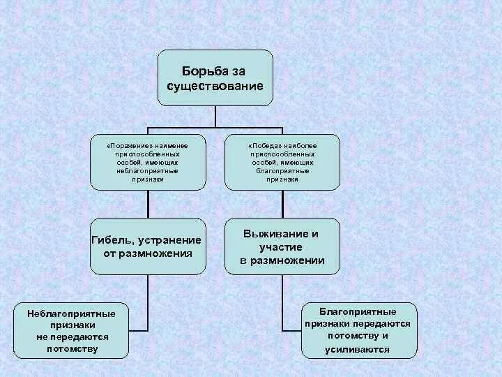 Формы борьбы за существование. Механизмы эволюции борьба за существование. Закон борьбы за существование. Борьба за существование деревьев. Борьба за существование это адаптация.