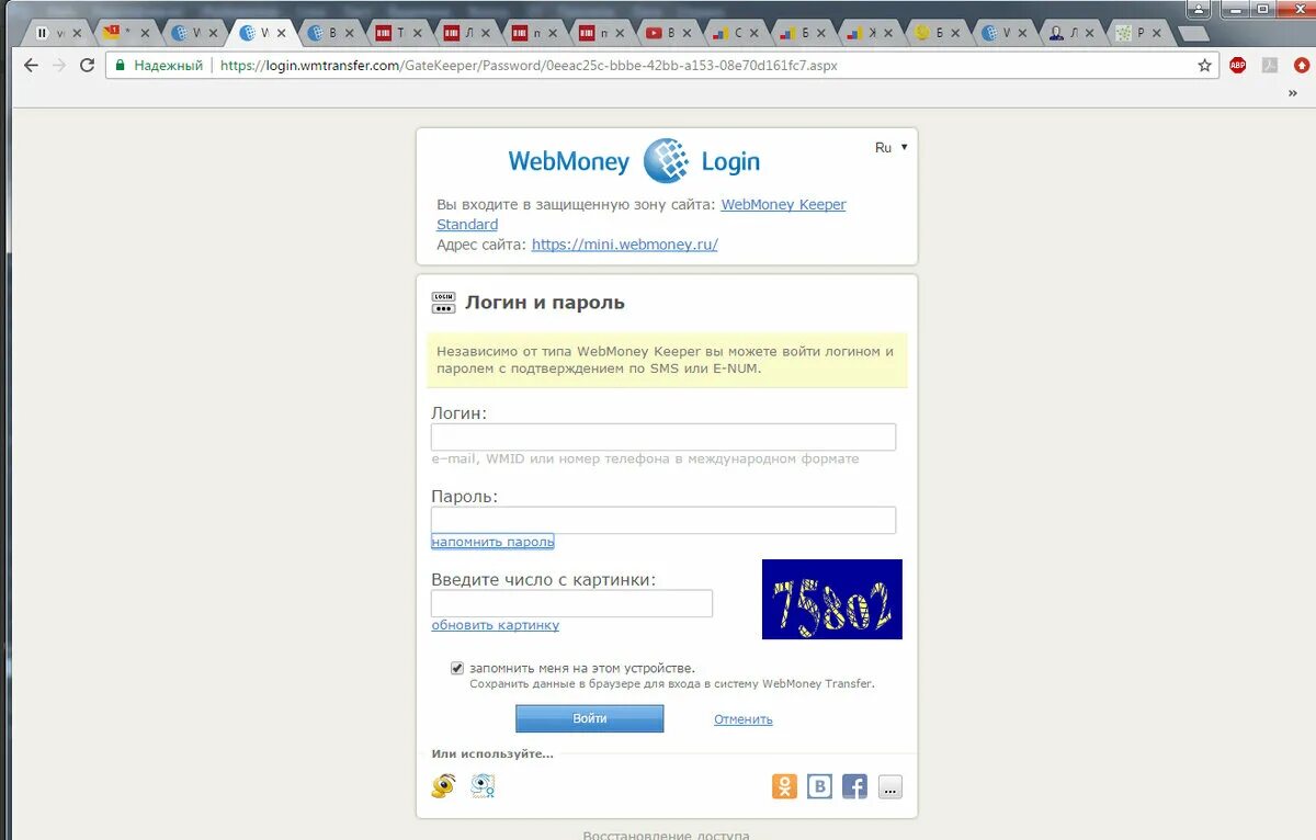 Вебмани личный кабинет войти. WEBMONEY Интерфейс. WEBMONEY Интерфейс 2006. Вебмани картинки. WEBMONEY пример логина.