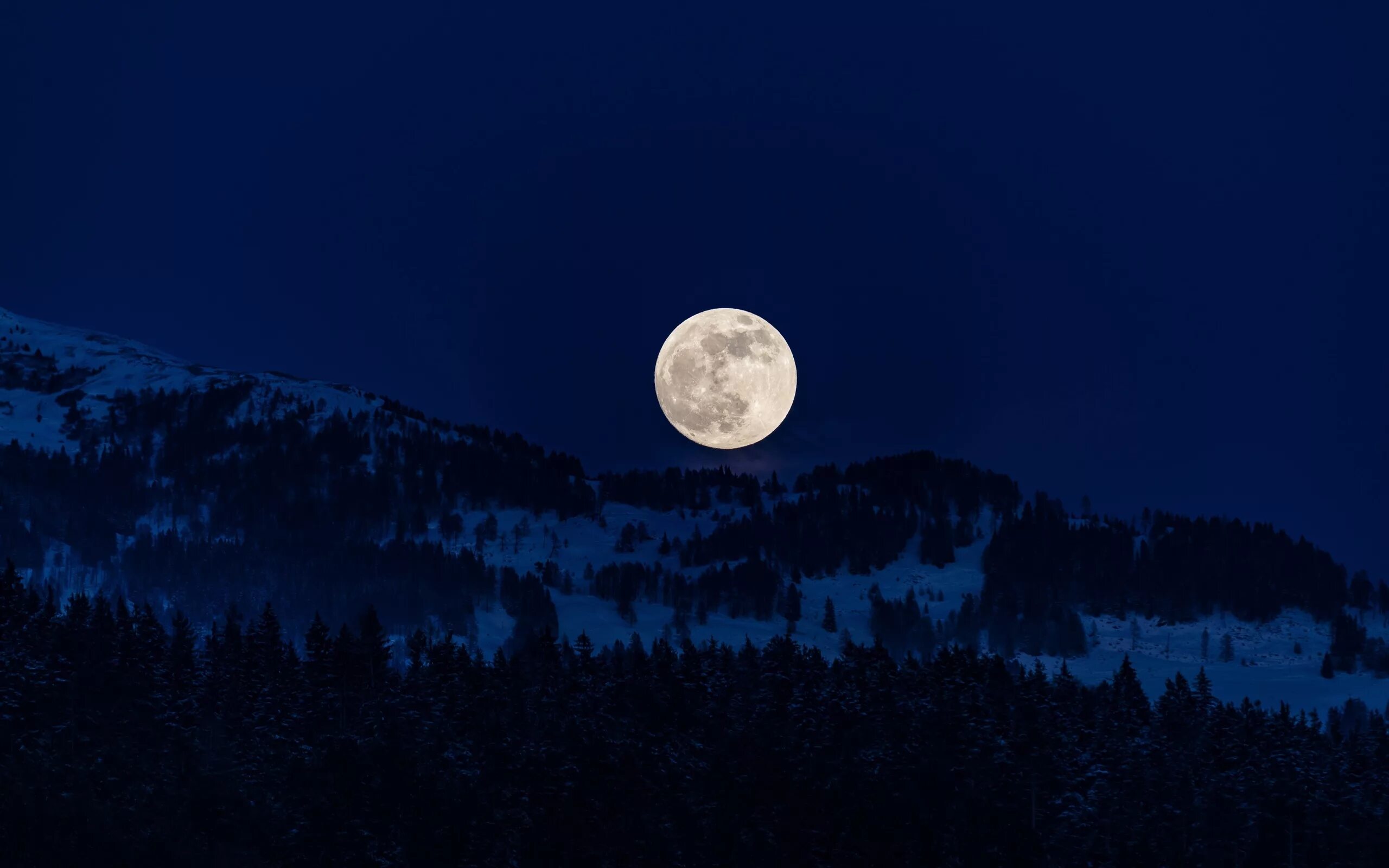 Ночь с луной 4. Ночь Луна. Ночной лес. Полнолуние. Лунное небо.