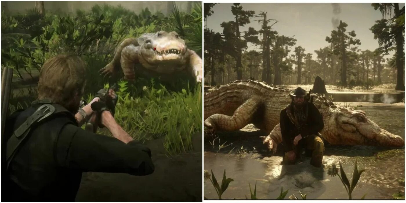 Легендарный аллигатор rdr 2. Местонахождение легендарного аллигатора в рдр 2. где легендарный аллигатор в рдр 2.