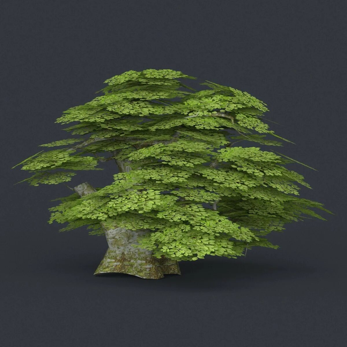 Tree 1 18 2. Low poly tree. секвойя lowpoly. low poly tree 3d model stylized. low poly 3д плющ.