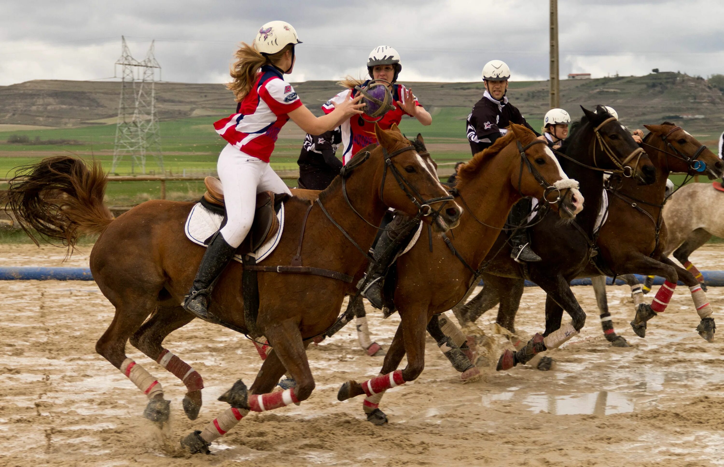 Игра riding club championships. Игрушки конный спорт. Конная игра 4 буквы. Игра барби на ранчо. Игра про лошадиное ранчо на пк.