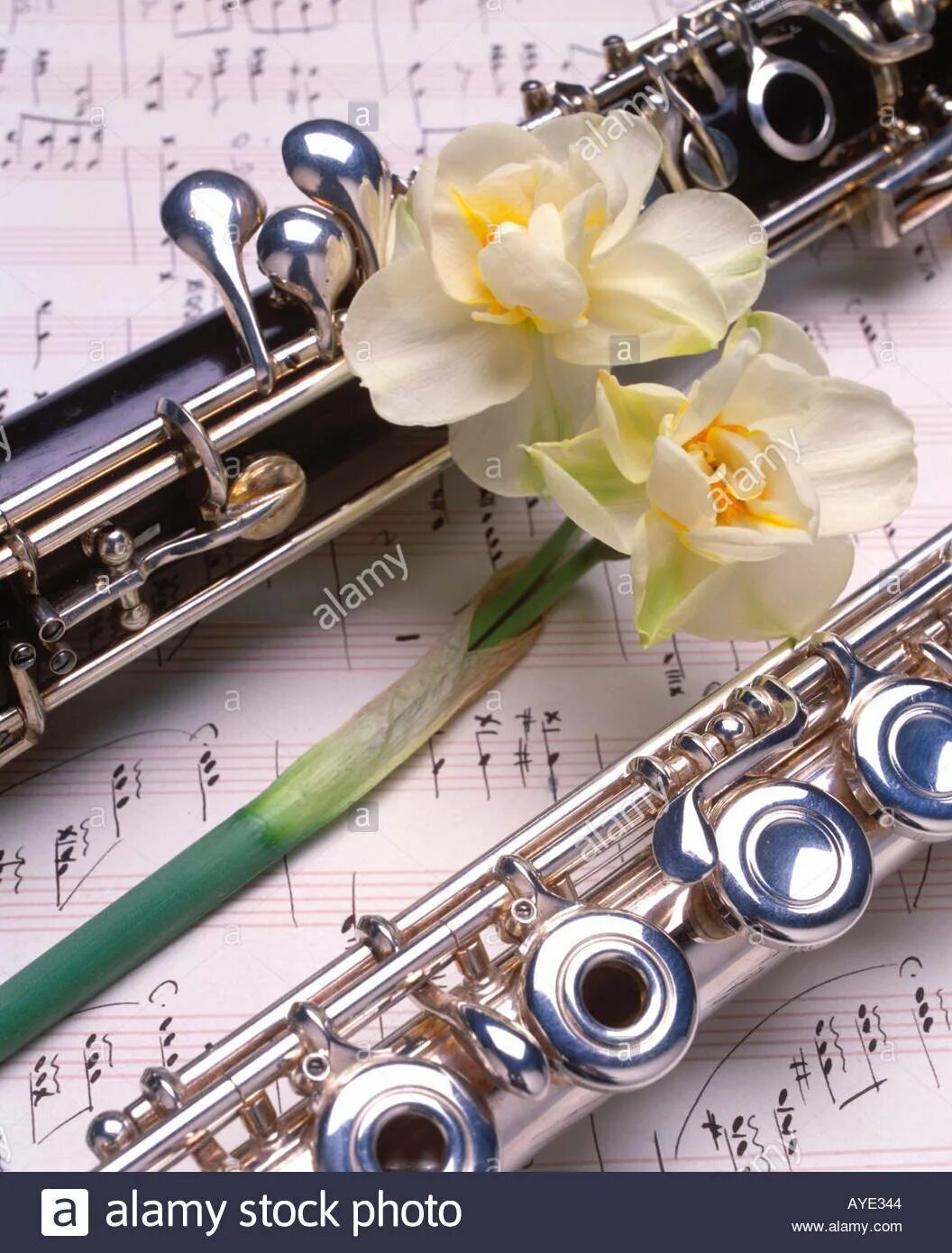 Цветок кларнет. Кларнет цветы. Флейта и цветы. Флейта с цветами. Флейта и розы.