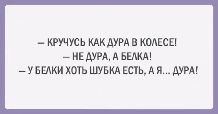 Стала дурой. Суп сварила из последних сил. Женская логика. Шутки про женскую логику. Афоризмы про логику смешные.