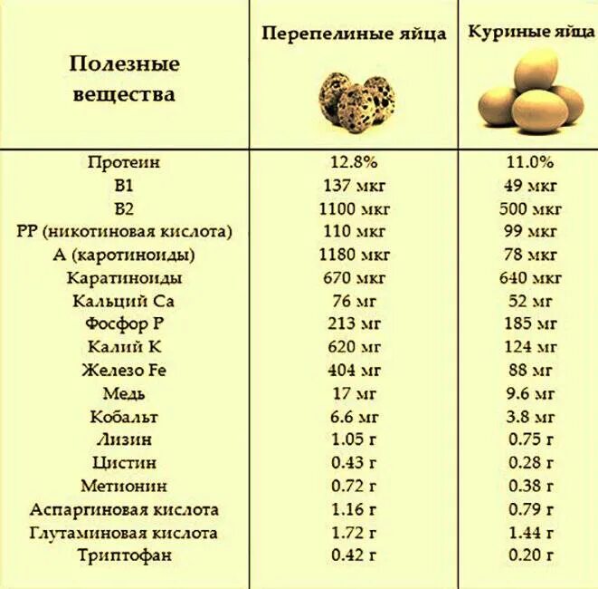 Сколько есть перепелиных яиц