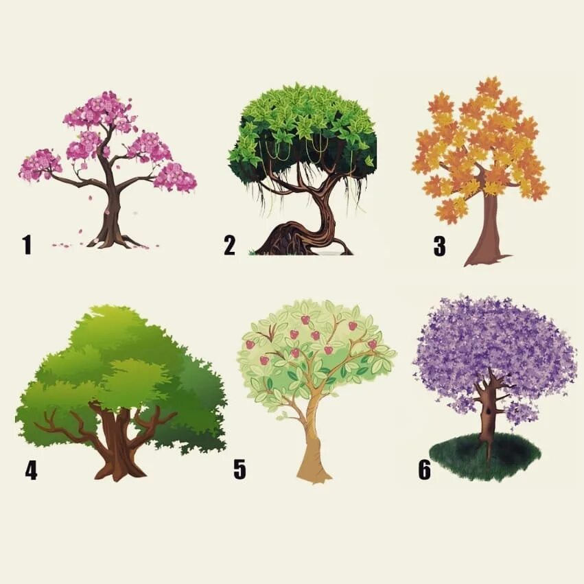 игра выберите деревья. лиственные деревья. игра выберите деревья. игра выберите деревья. листья деревьев для дошкольников.