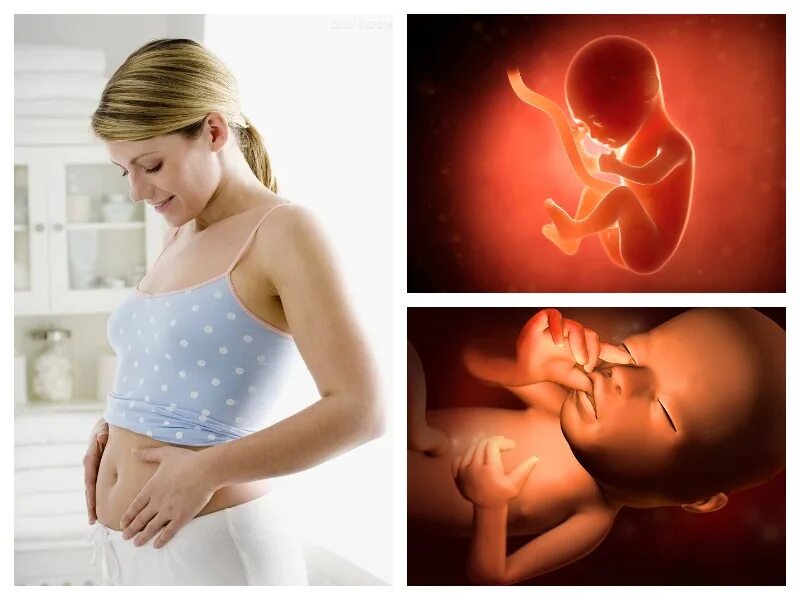 Можно почувствовать шевеление на 15 неделе. 15 Недель беременности. Ребёнок на 15 неделе беременности. Ребенок в животе 15 недель. Ребенок на 14-15 неделе беременности.