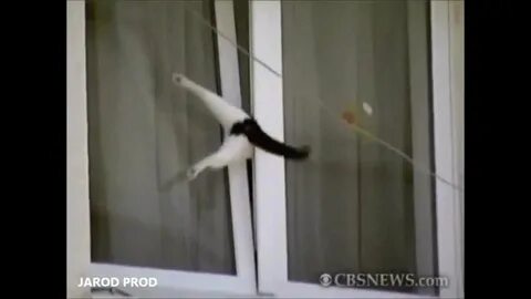 Забыла ключи полезла в форточку