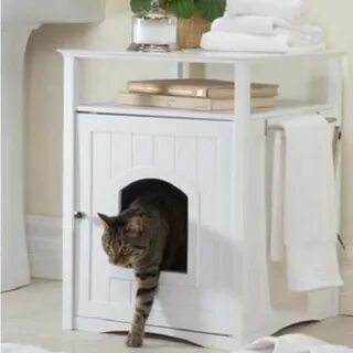 Спрячь кота