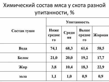Филе хим состав