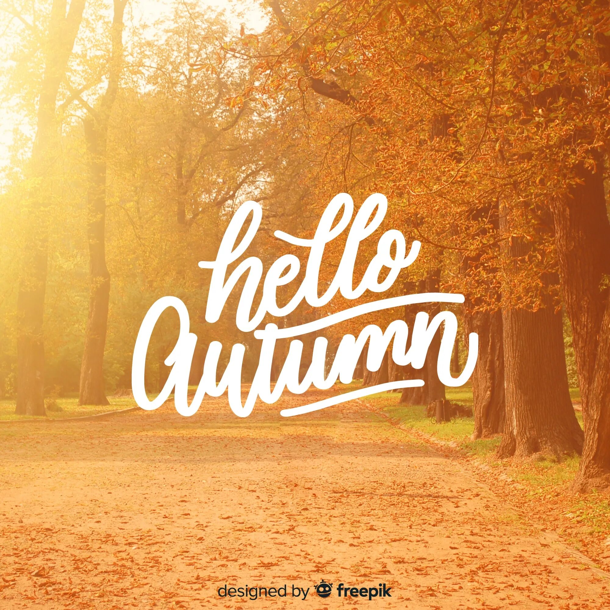 Осень надпись. Осенний леттеринг. Autumn надпись. Autumn надпись на английском. Autumn слово на английском.