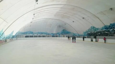 Каток метелица
