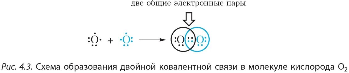 Молекуле кислорода двойная связь