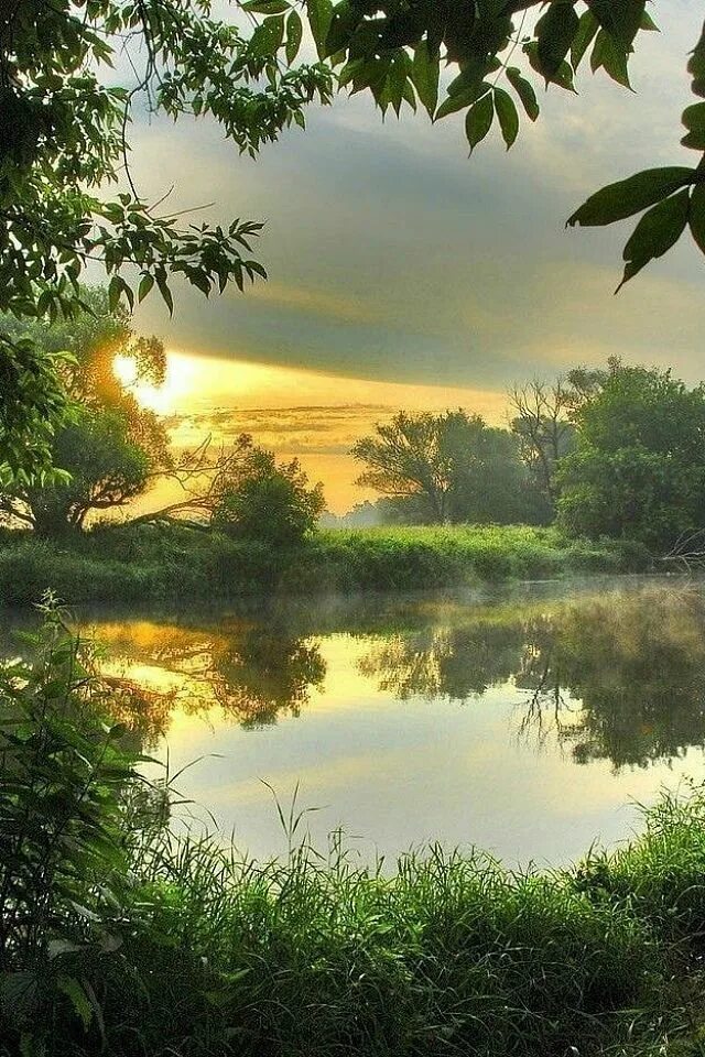 Доброе утро пейзаж. Природа река солнце. спокойный пейзаж. река солнце. солнечный пейзаж.