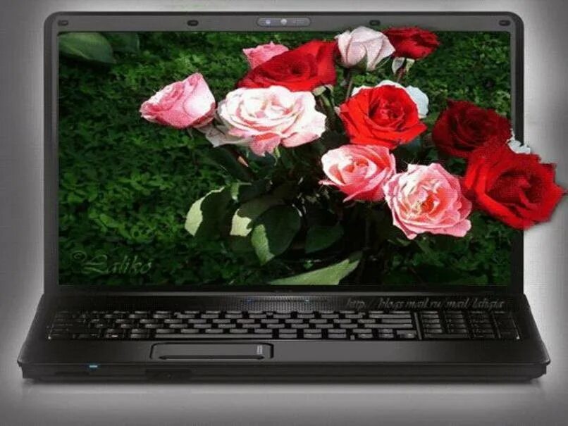 Виртуальные друзья есть. Компьютер и цветы. Компьютер из цветов. Букет цветов из компьютера. Ноутбук розы.