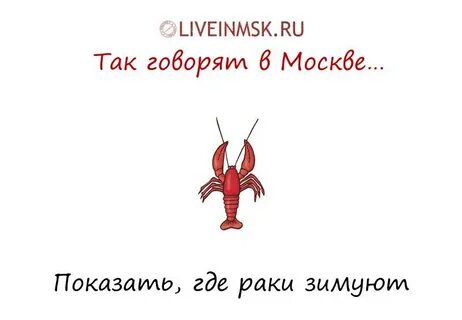 Бианки где раки зимуют