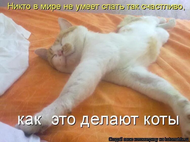 Я проснулся утром и сказал
