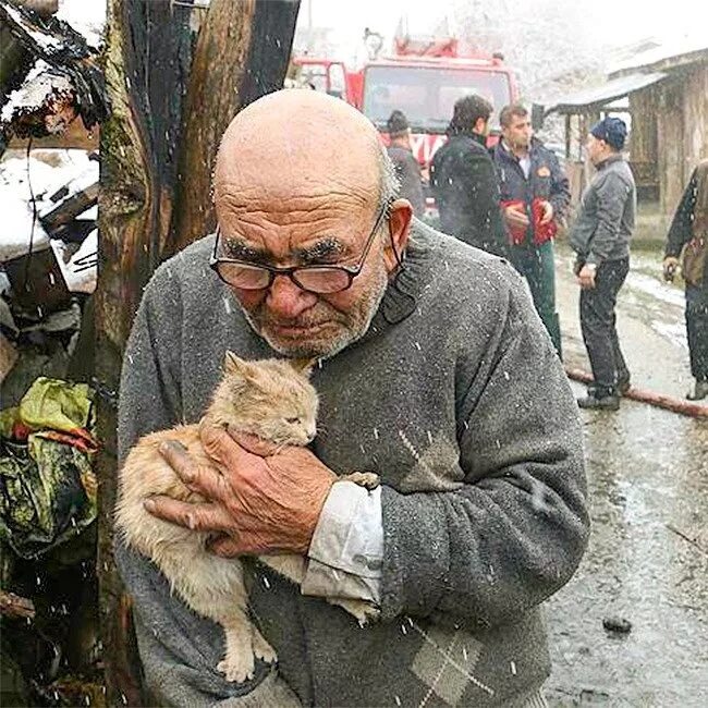 Голодные старики. Бездомный старик. Старик и кошка. Дедушка с котенком. Беспризорный старик.