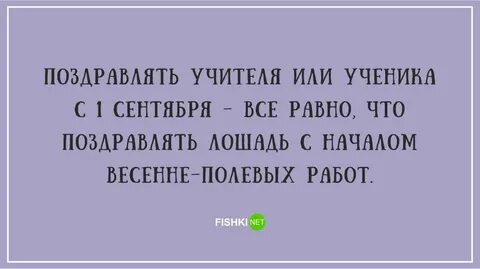 Цитаты про учебный год