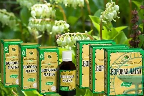 Боровая миоме