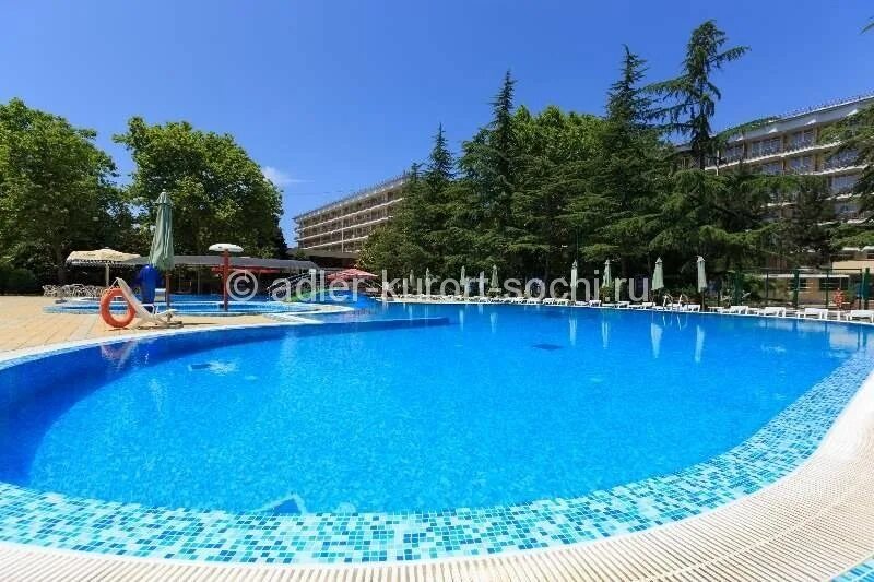 пансионат бургас адлер сочи.