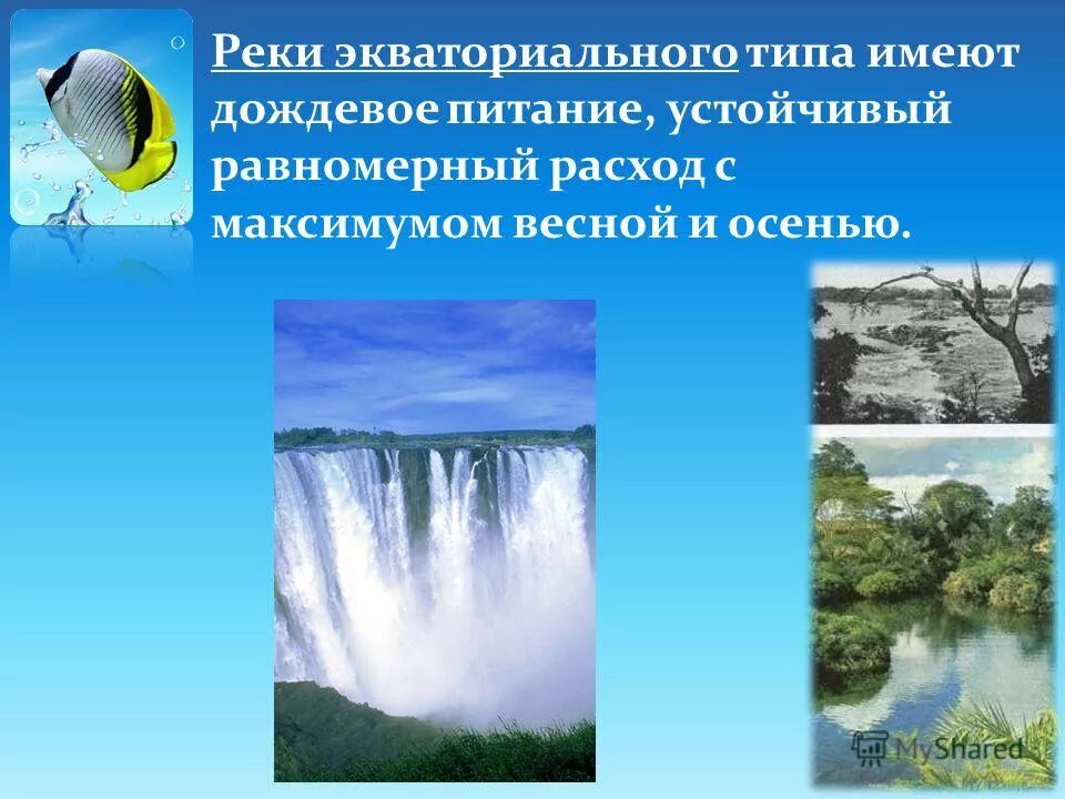 Дождевое питание имеет река. Питание рек водой. Дождевое питание рек. Питание рек презентация. Питание рек.