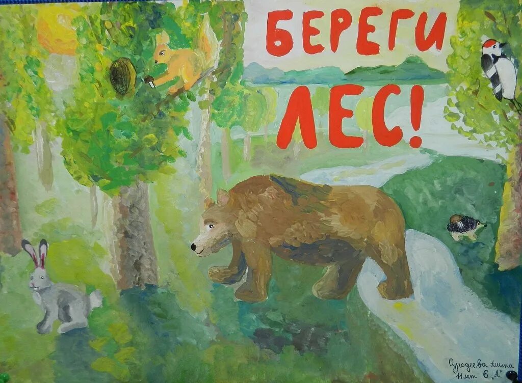 Придумай и нарисуй плакат берегите животных. Придумай и нарисуй плакат берегите животных