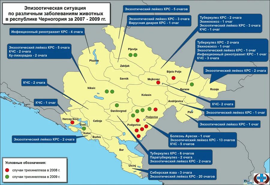 Эпизоотическое благополучие. Эпизоотическая карта. Эпизоотическая ситуация в России. Эпизоотическая обстановка в России. Эпизоотическая карта района.