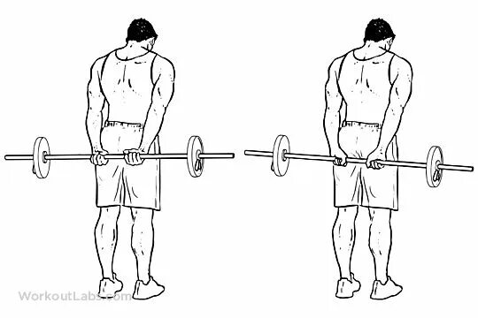 Curl row. Barbell wrist curl. barbell workout. standing behind-the-back wrist curls. wrist flexors workouts.