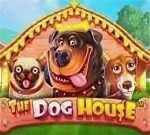 Дог хаус демо dogs house net