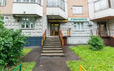 Академия 12