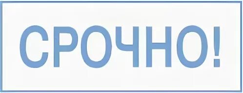 Слово срочный