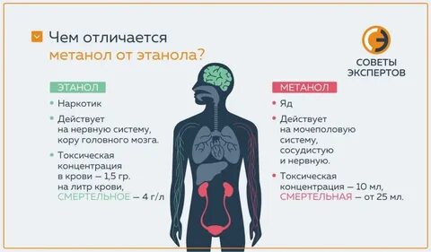 Для чего нужен метанол