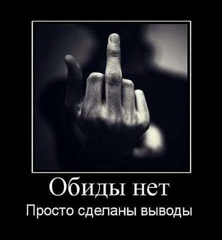 Нет а то обижусь. Обиды нет просто сделаны выводы. средний палец цитаты. аватарки со смыслом.