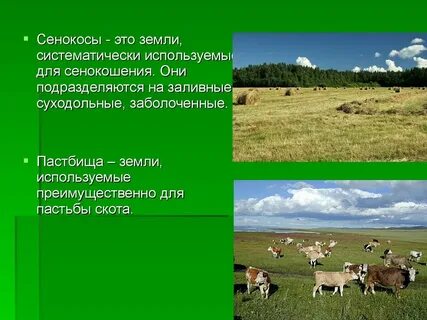 Как человек использует луга