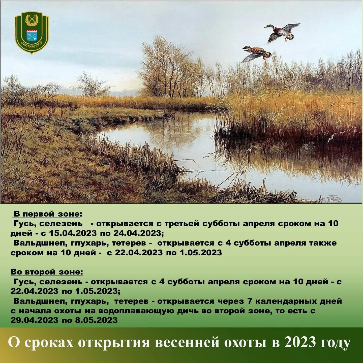 Открытие весенней охоты 2023. Периоды охоты в Ленинградской области. Сроки весенней охоты 2024 в новосибирской области