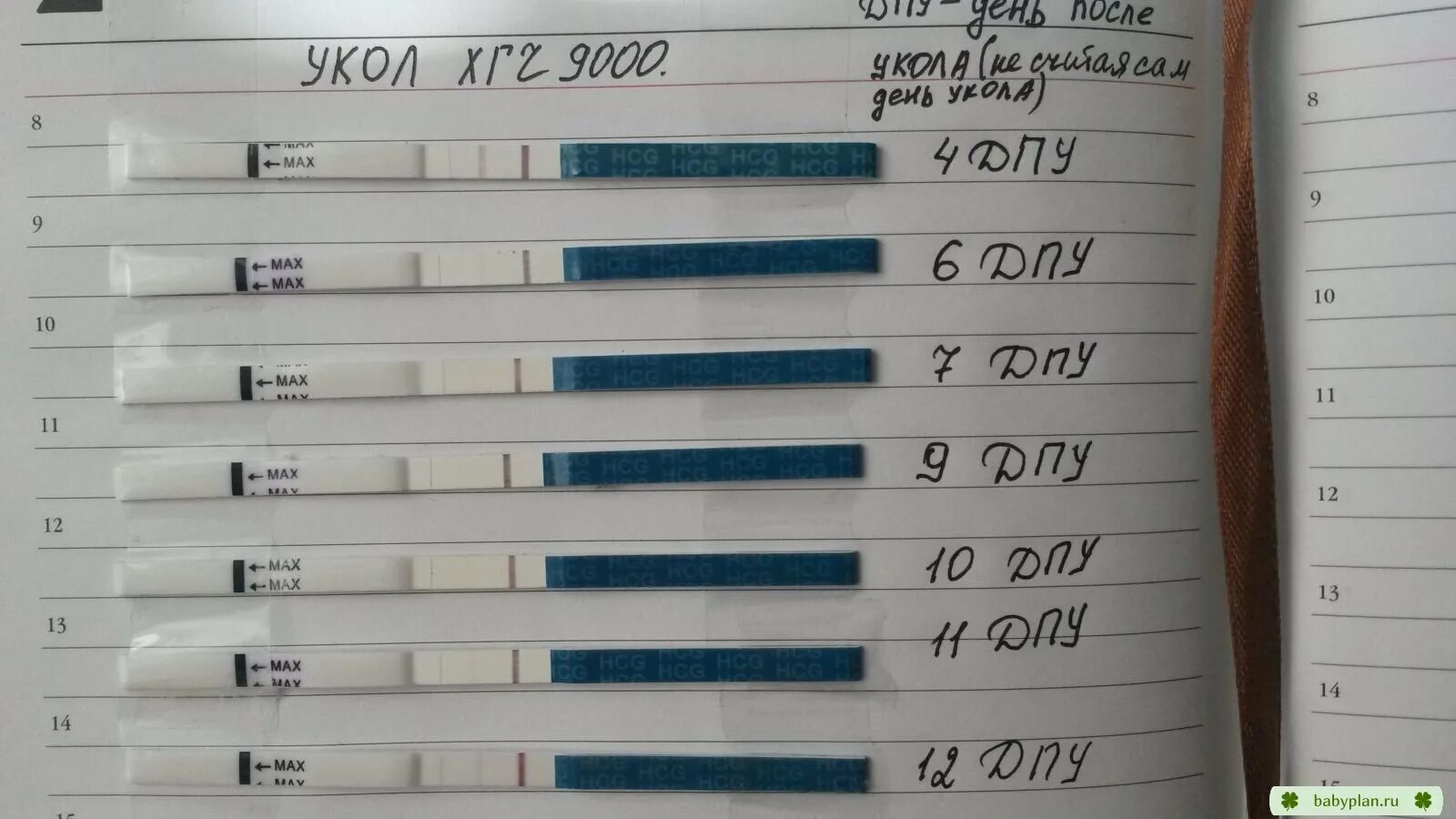 Тест показывает положительный а хгч отрицательный. Тест на беременность после укола хгч. тесты после укола хгч. тесты на беременность по дням. тесты после уколов хгч.