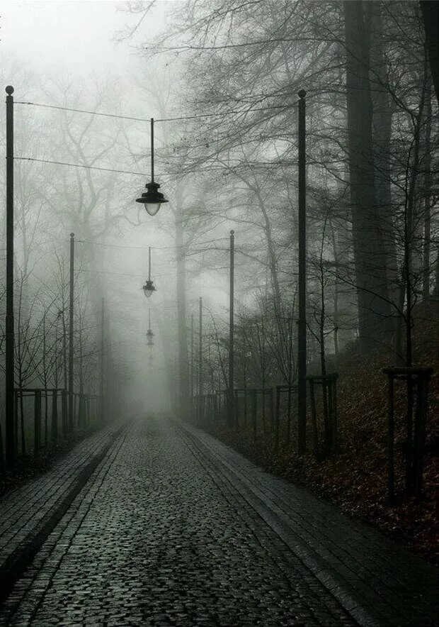 Мрачная дорога. Мрачный город. Мрачный город в тумане. Мрачный пейзаж. Регистрация в никуда